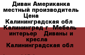 Диван Американка местный производитель › Цена ­ 11 900 - Калининградская обл., Калининград г. Мебель, интерьер » Диваны и кресла   . Калининградская обл.